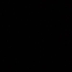 I will trade any of my shoes for other shoes